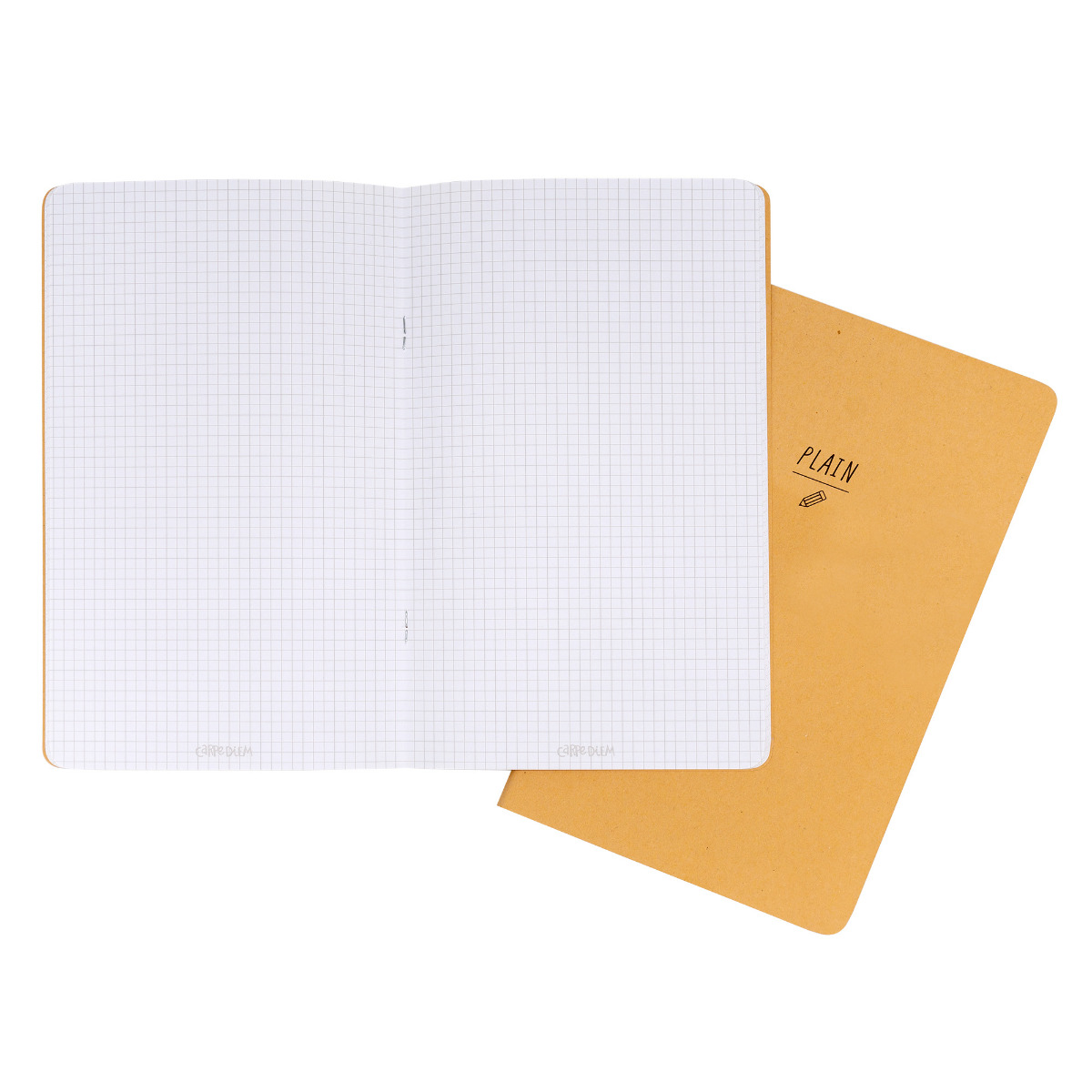 Carpe Diem Plain and Grid Notebook Holder Inserts