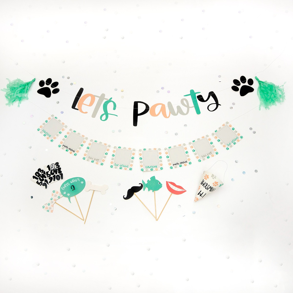 Pukka Party Pet Party Pack - Includes Party Hat, Garland, Bunting and Photo Props