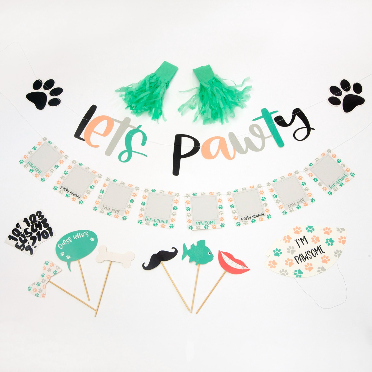 Pukka Party Pet Party Pack - Includes Party Hat, Garland, Bunting and Photo Props