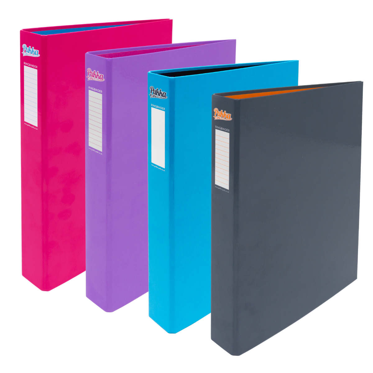Pukka Pads Neon Assorted A4 Ringbinder - Box of 12