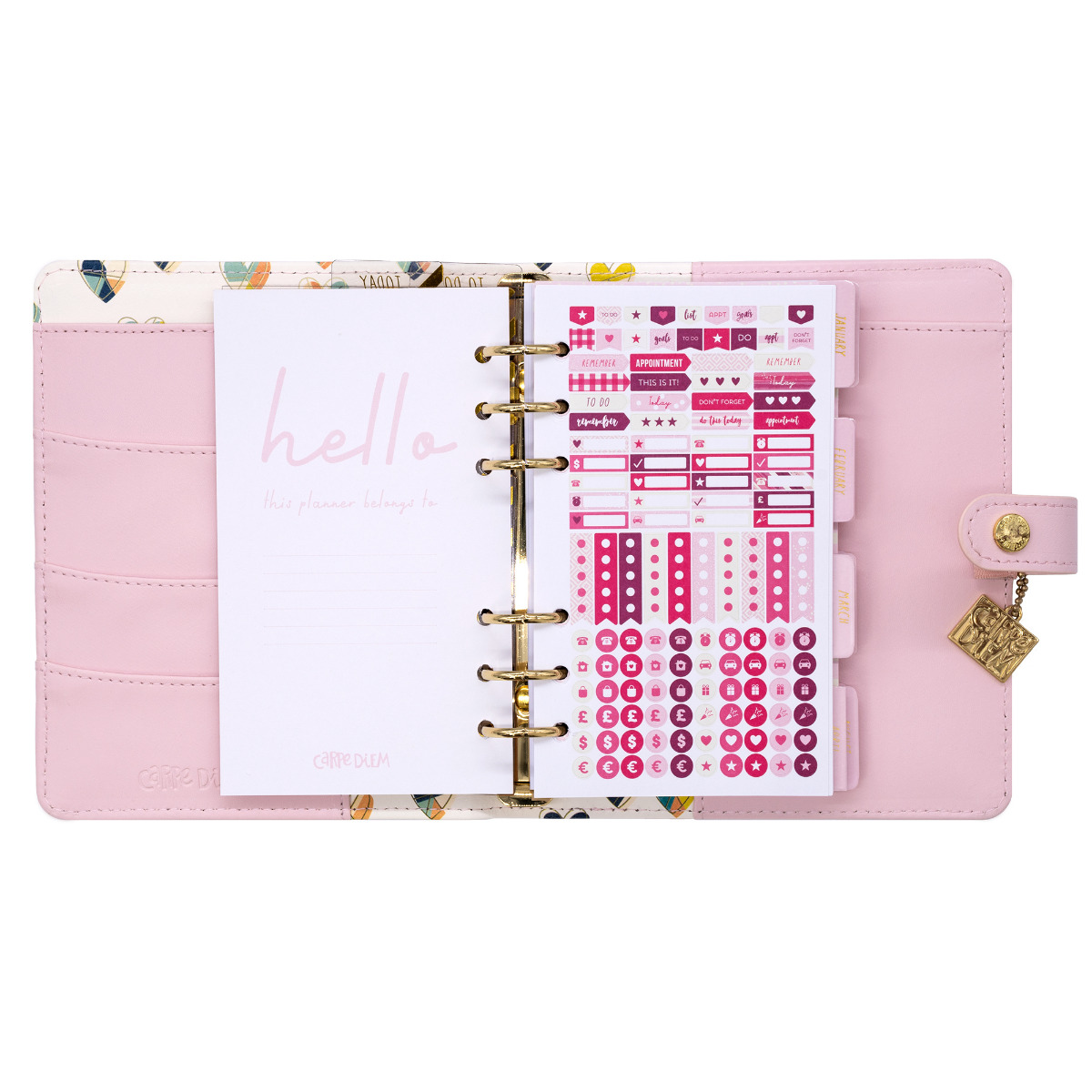 Pukka Pad, Carpe Diem Personal Planner with Weekly, Monthly Undated  Inserts, 8 X 7.5 X 1.4 Inches, Feathers