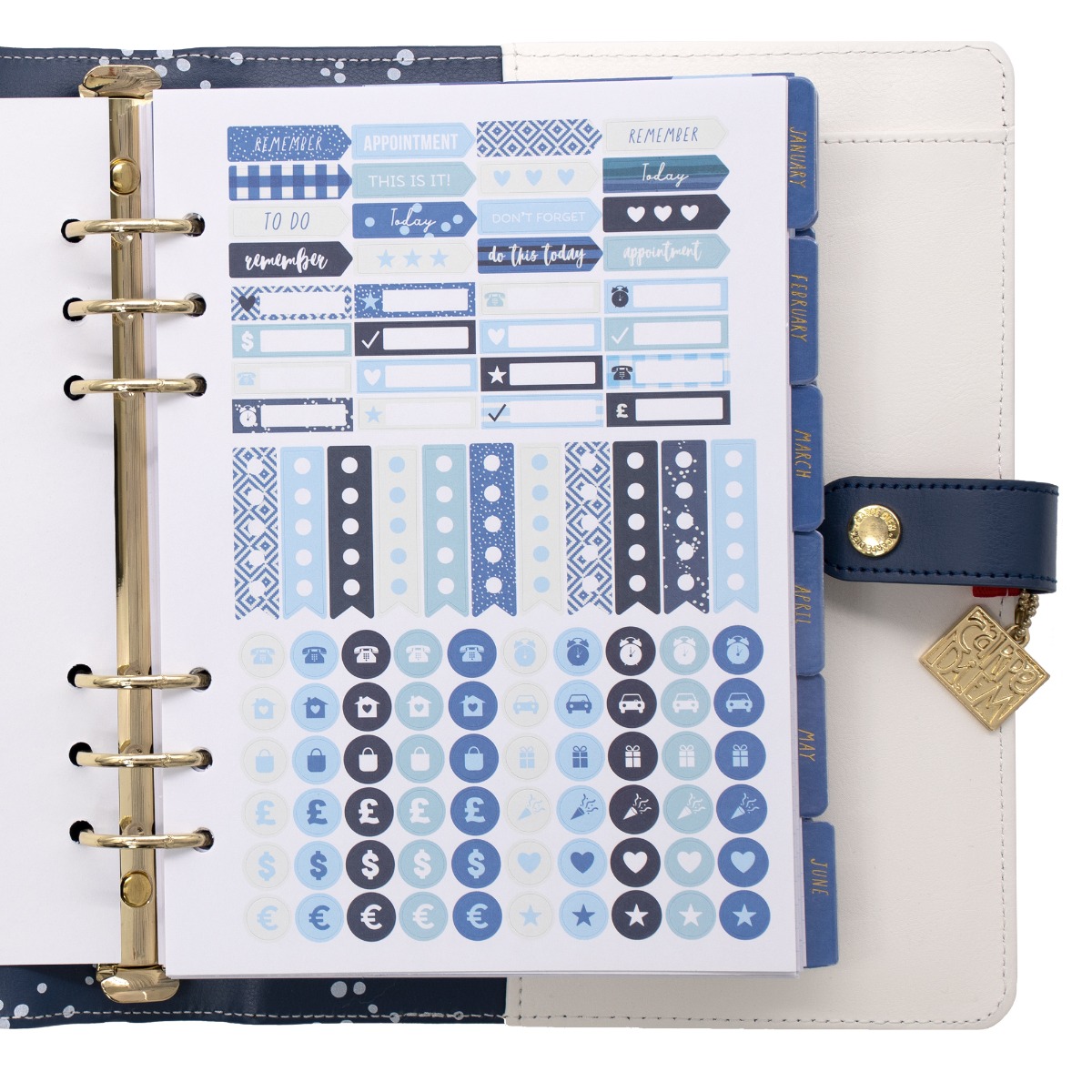 Shop our store online to browse the newest Carpe Diem Planner Essentials -  Vertical Appointment Weekly Inserts Carpe Diem