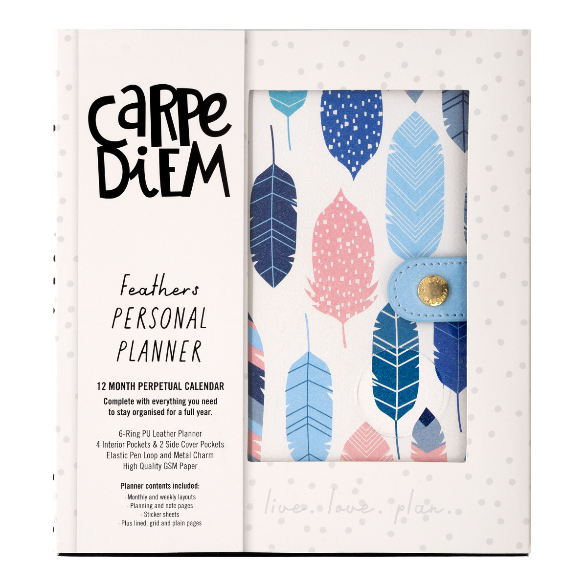 SMPLE STORIES: Carpe Diem Black Planner Decal (Planner Girl) (S) –  Doodlebugs
