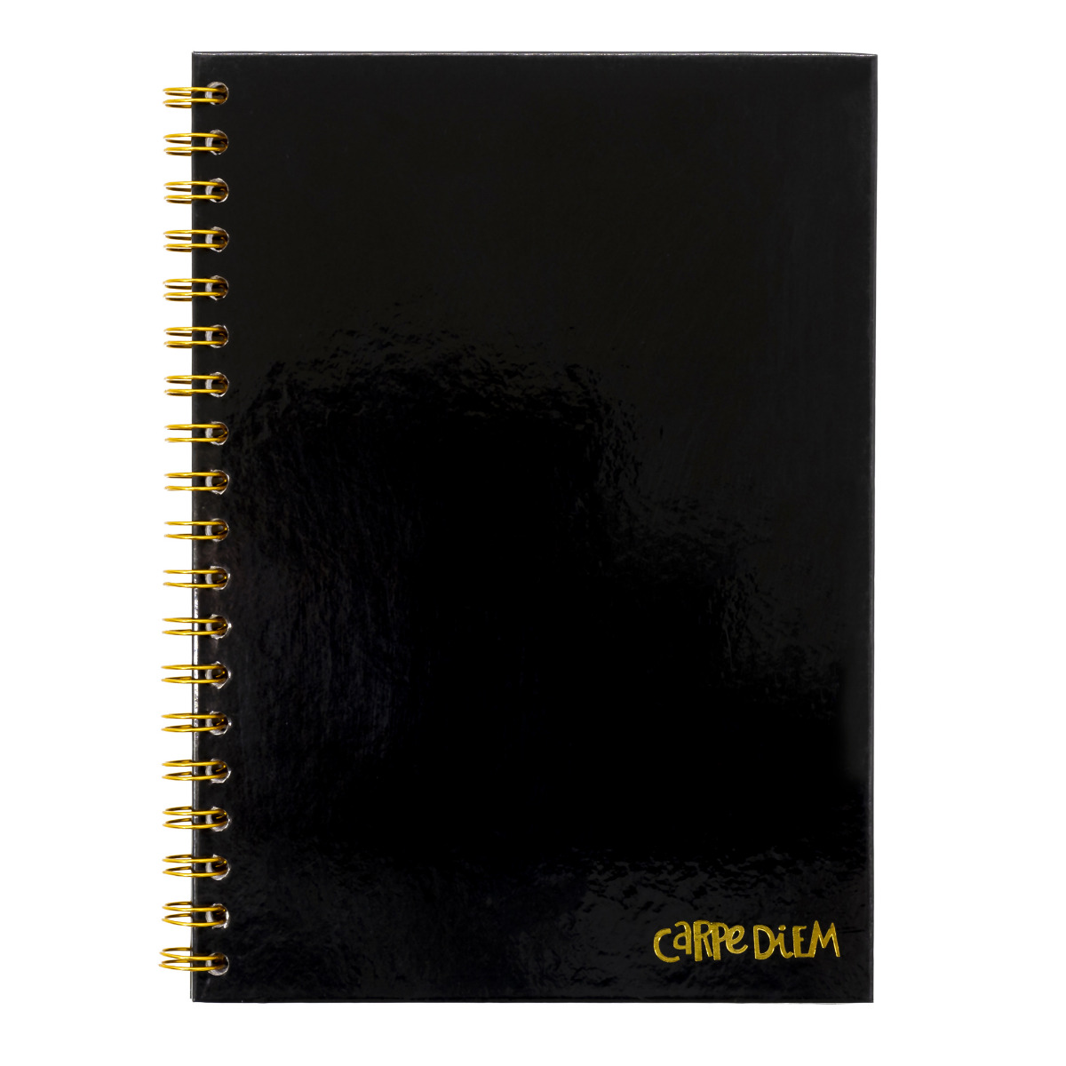 Carpe Diem B5 Hardcover Notebook -Black