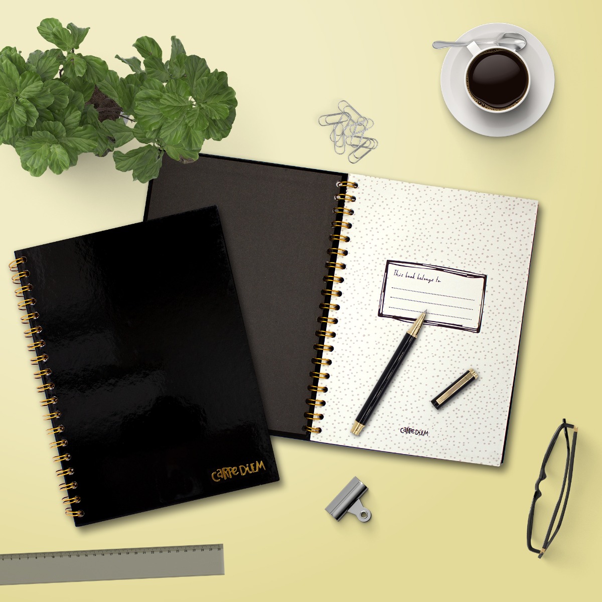 Carpe Diem B5 Hardcover Notebook -Black