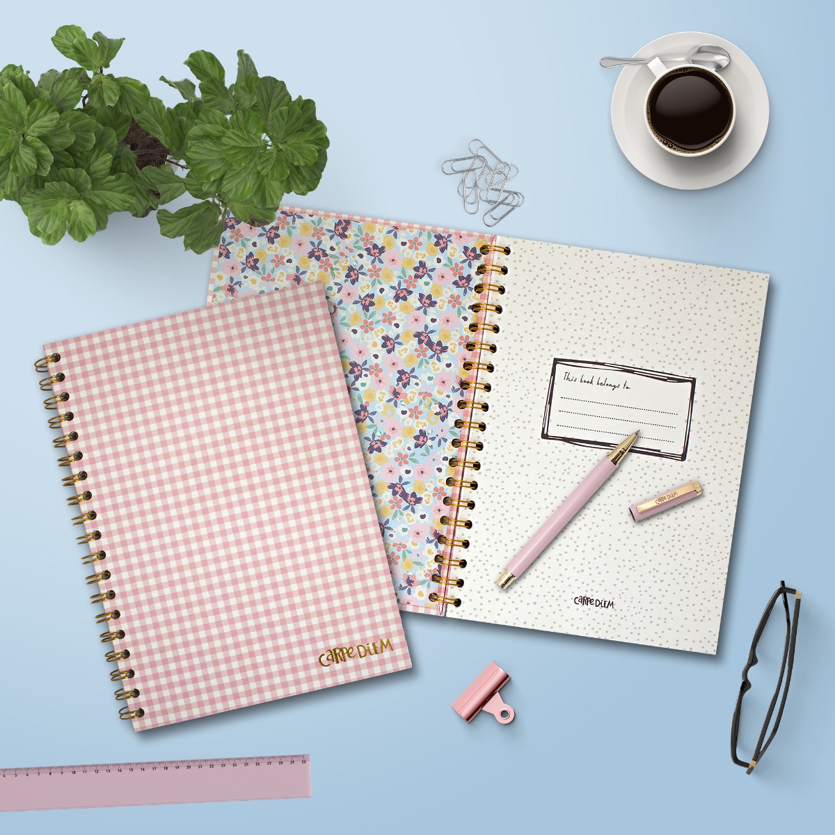 Carpe Diem B5 Hardcover Notebook - Ballerina Pink Check