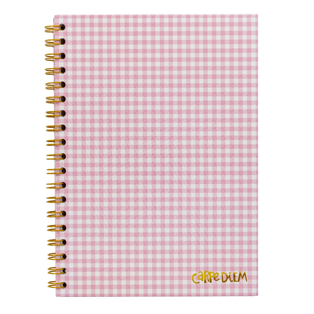 Carpe Diem B5 Hardcover Notebook - Ballerina Pink Check
