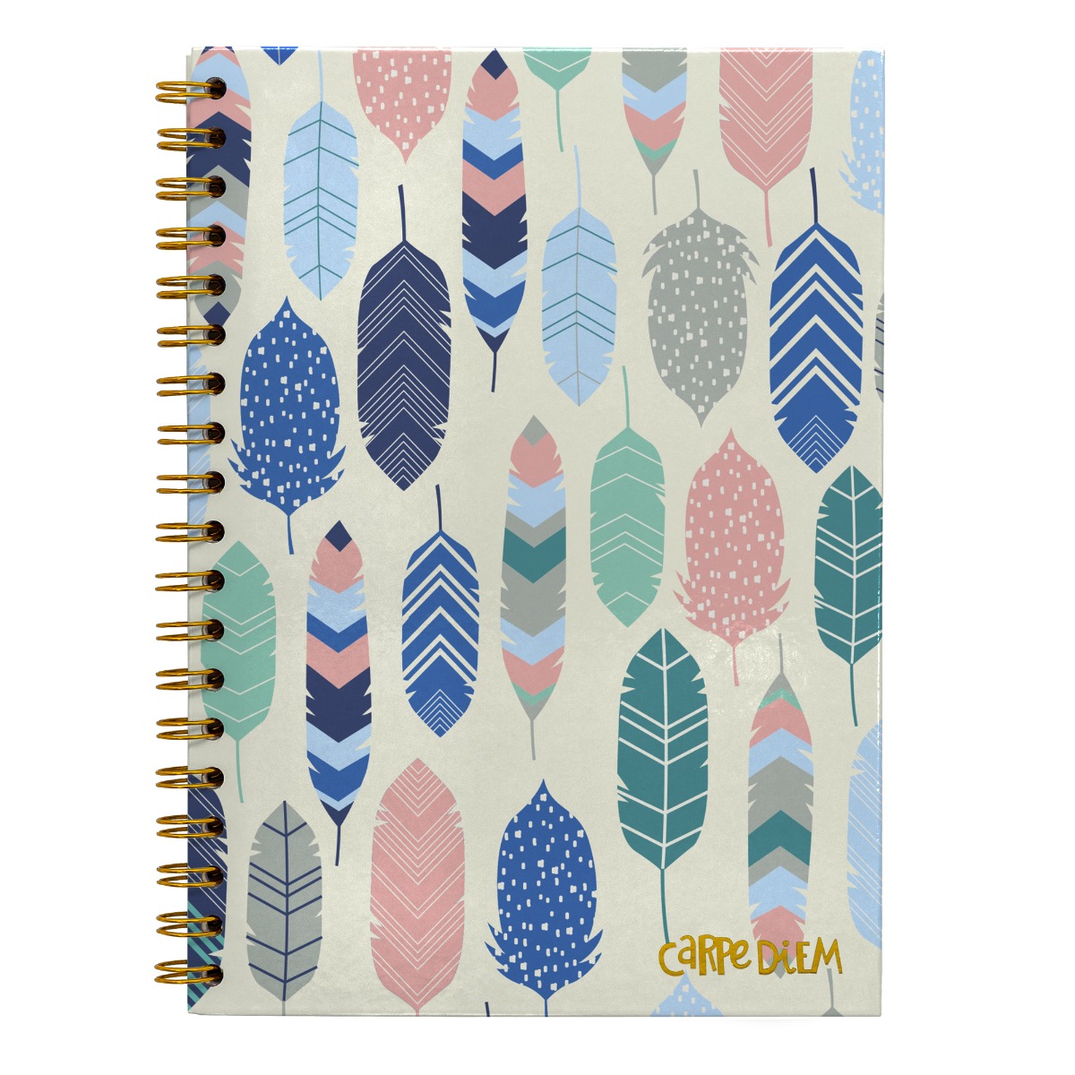 Carpe Diem B5 Hardcover Notebook - Feathers
