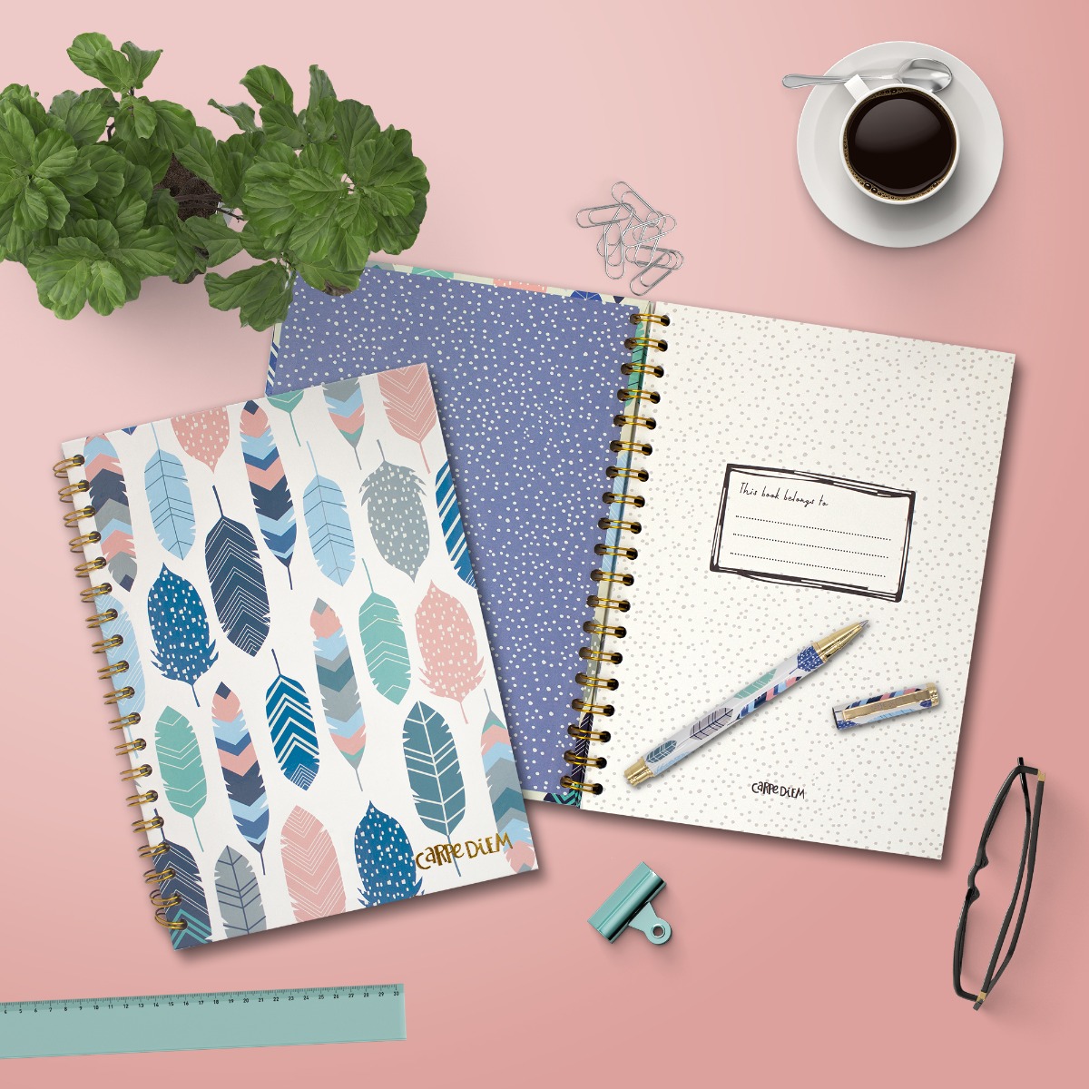 Carpe Diem B5 Hardcover Notebook - Feathers