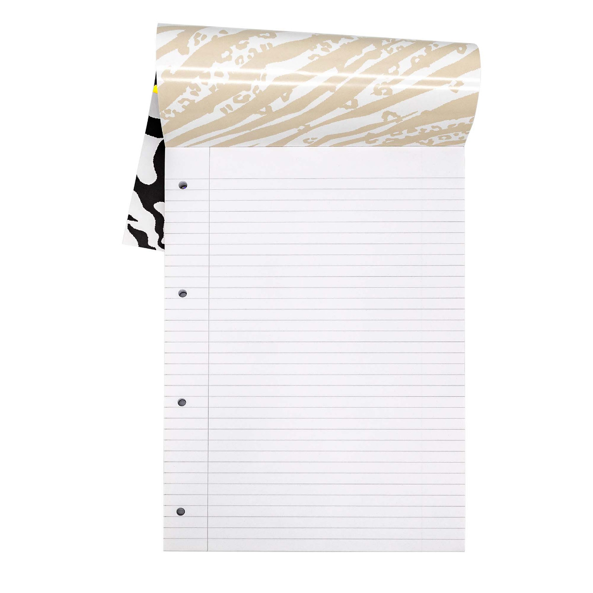 Pukka Pads Wild A4 Lined Refill Pad - Assorted pack of 2