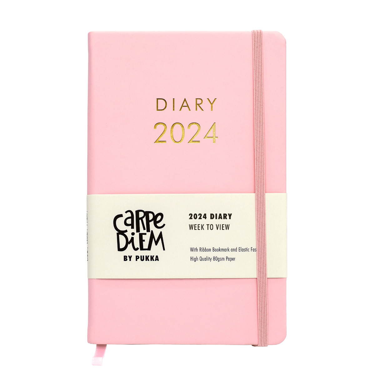 Carpe Diem Soft Cover 2024 Diary Ballerina Pink - Pukka Pads