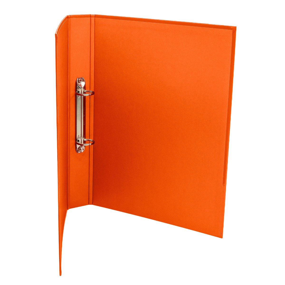 Pukka Pads Brights Ringbinder Assorted (Box of 10)