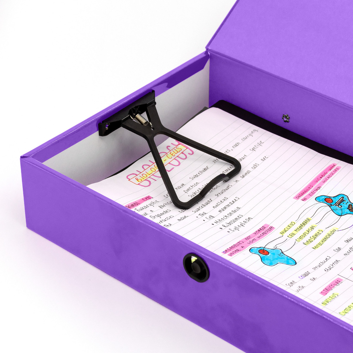 Brights Foolscap Box File in Purple - Pukka Pads