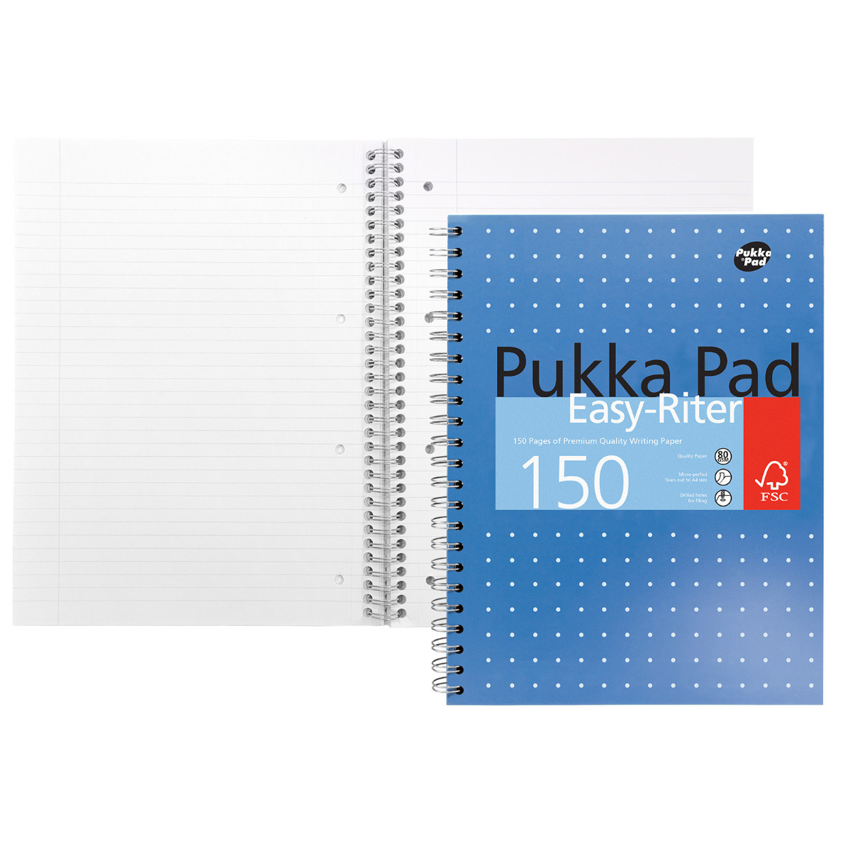Pukka Pads A4+ Metallic Lined Easy Riter Notebook - Pack of 3