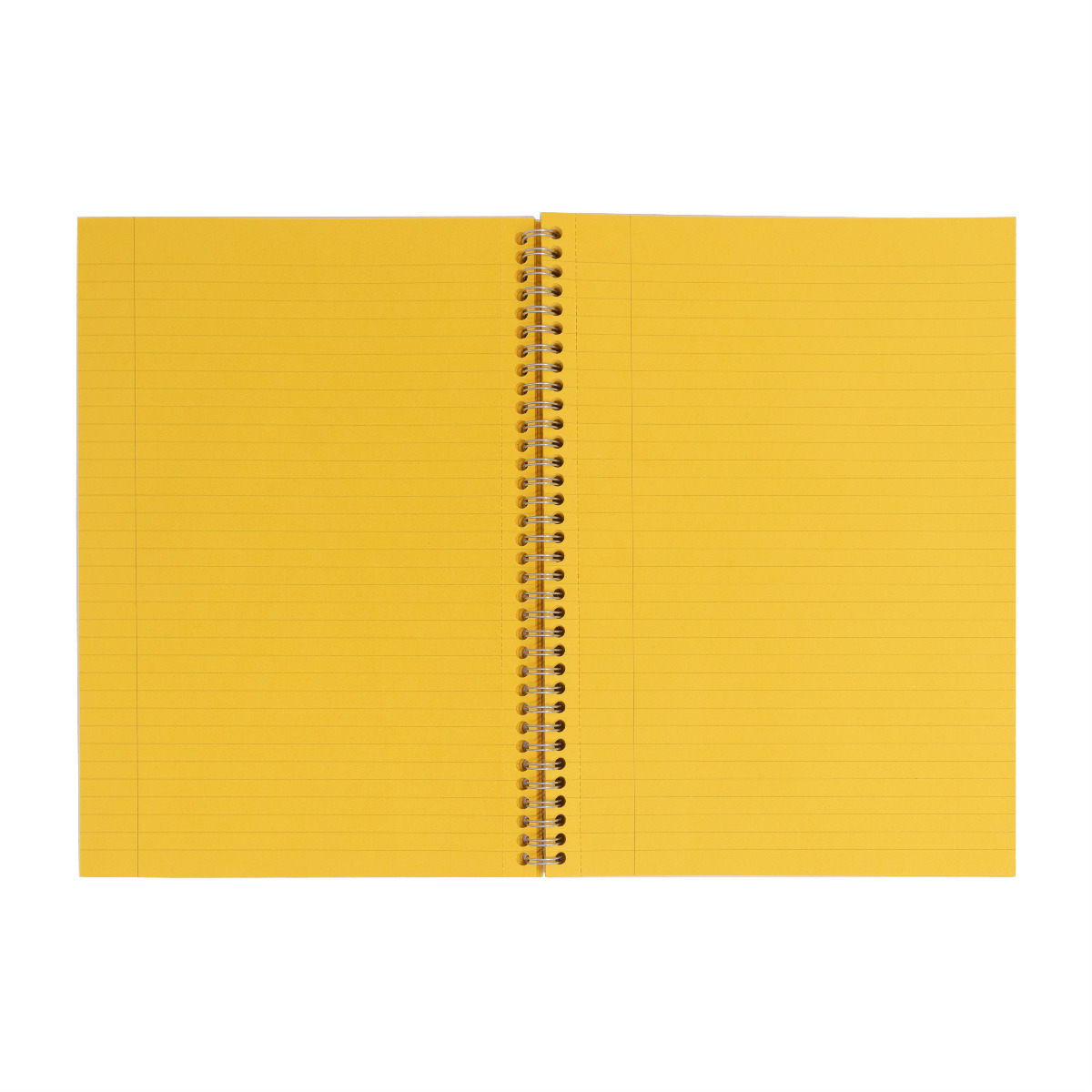 Pukka Pads Irlen Lined A4 Jotta Notebook in Gold - Pack of 3