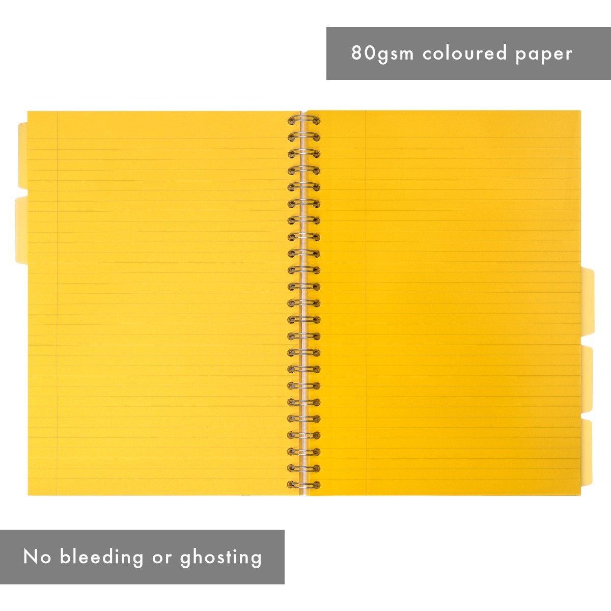 Pukka Pads Irlen A4 Lined Project Books in Gold - Pack of 3