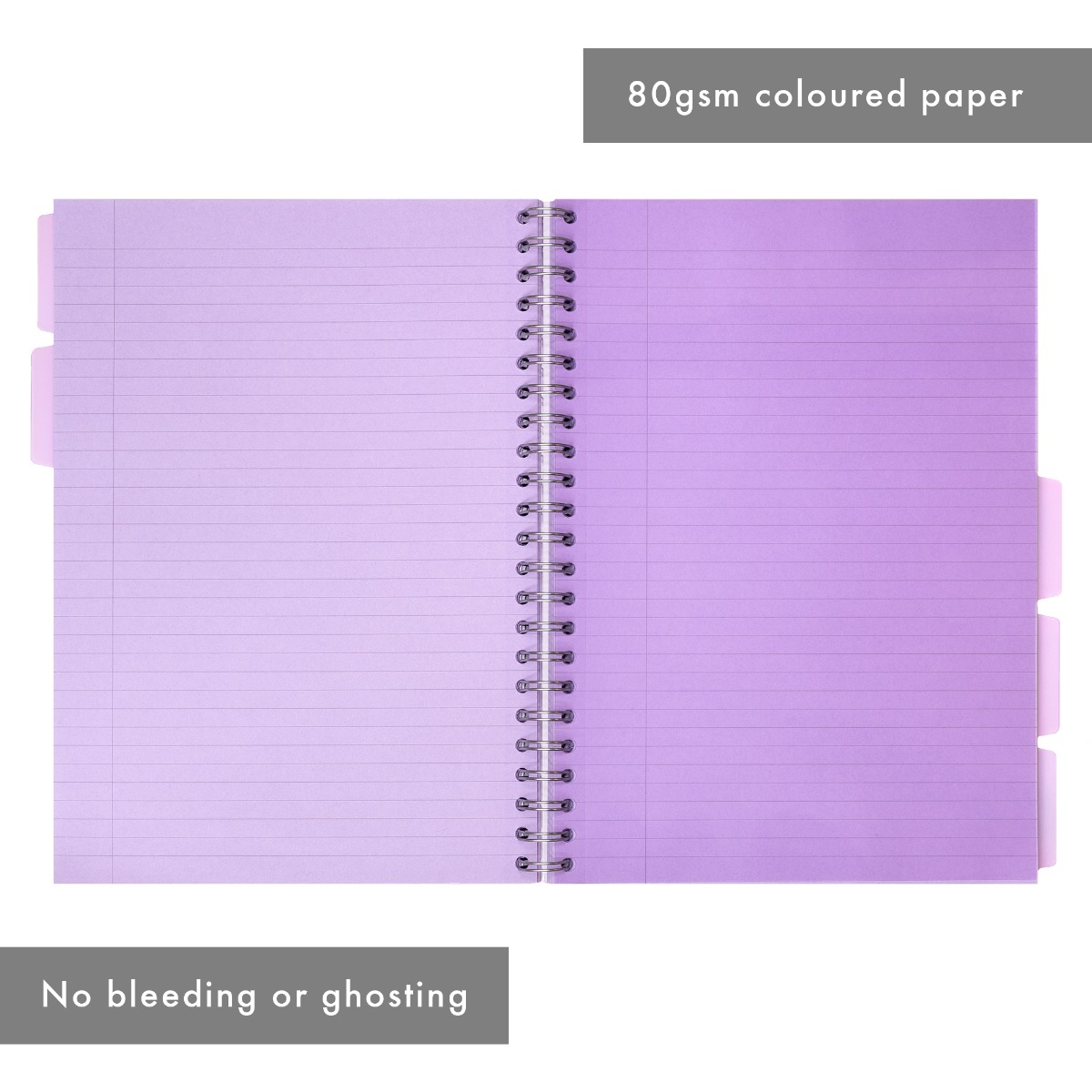 Pukka Pads Irlen A4 Lined Project Books in Lavender - Pack of 3
