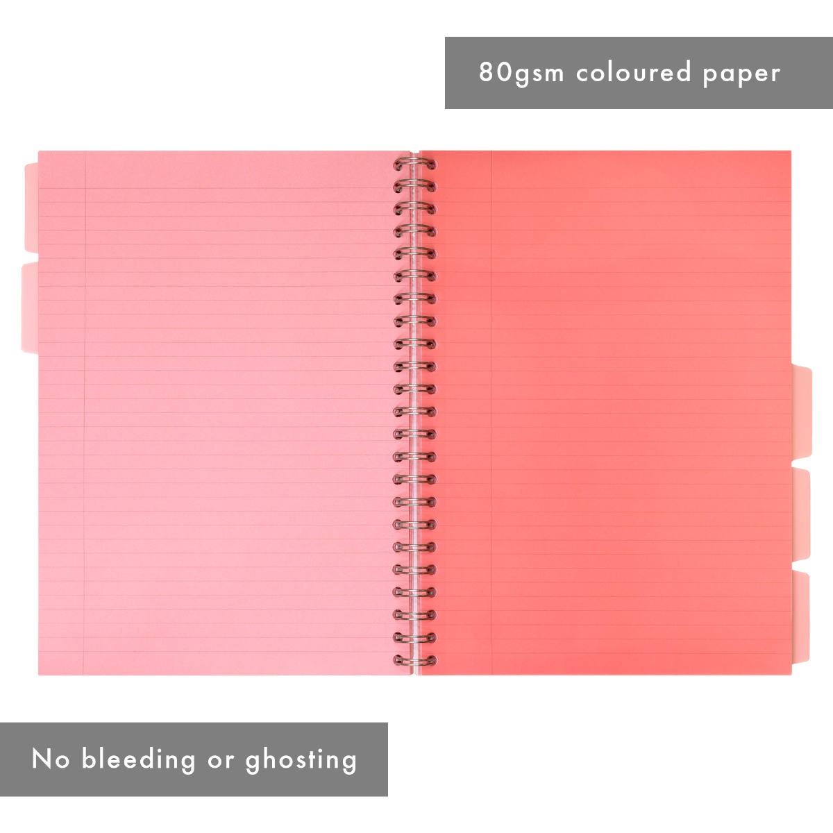Pukka Pads Irlen A4 Lined Project Books in Rose - Pack of 3