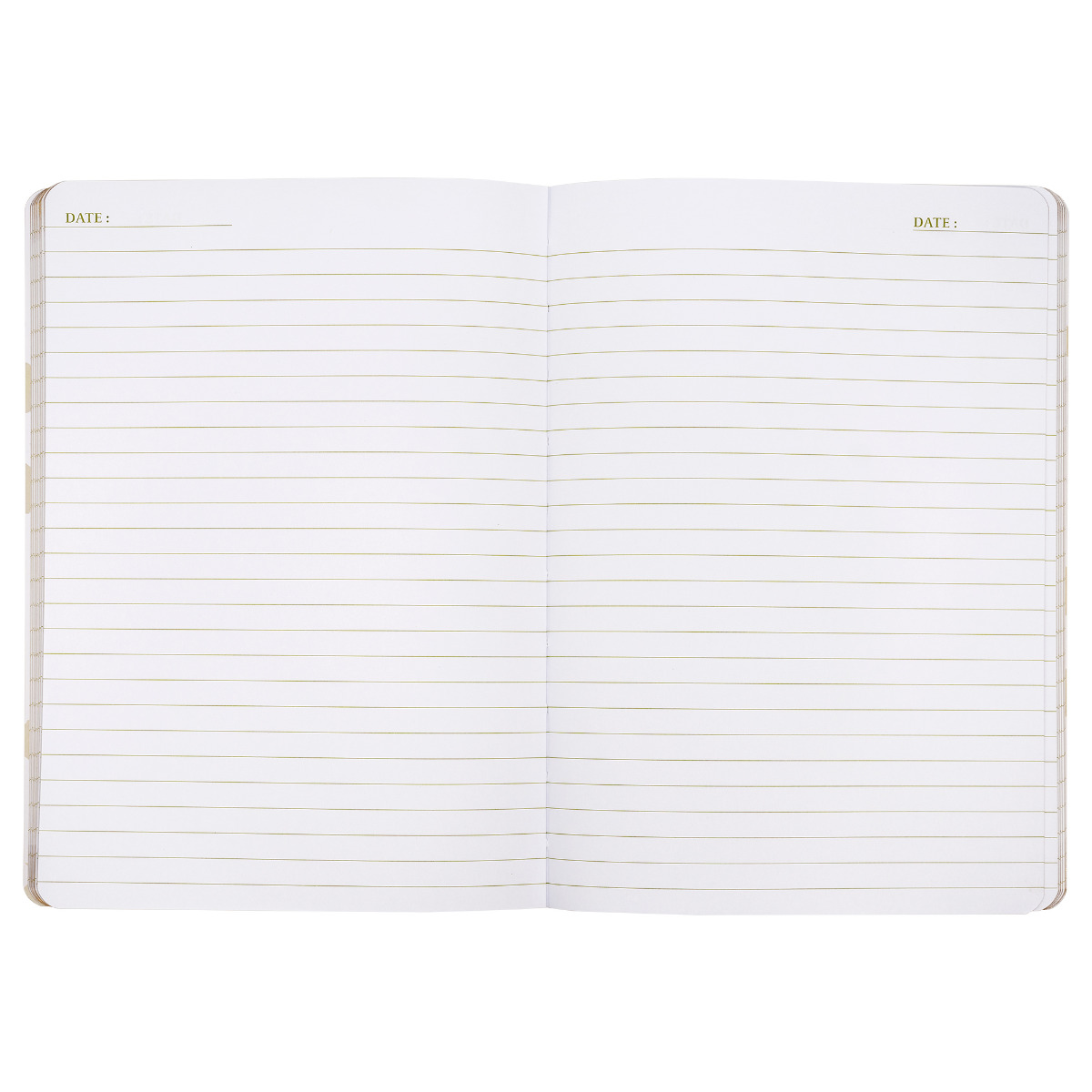 Pukka Pads x La Papelaria, Soft Cover Journal in Tiger with Gold Foil Edges