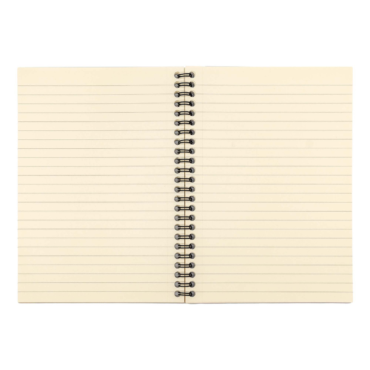 Pukka Pads A5 Metallic Lined Vellum Notebook - Pack of 3