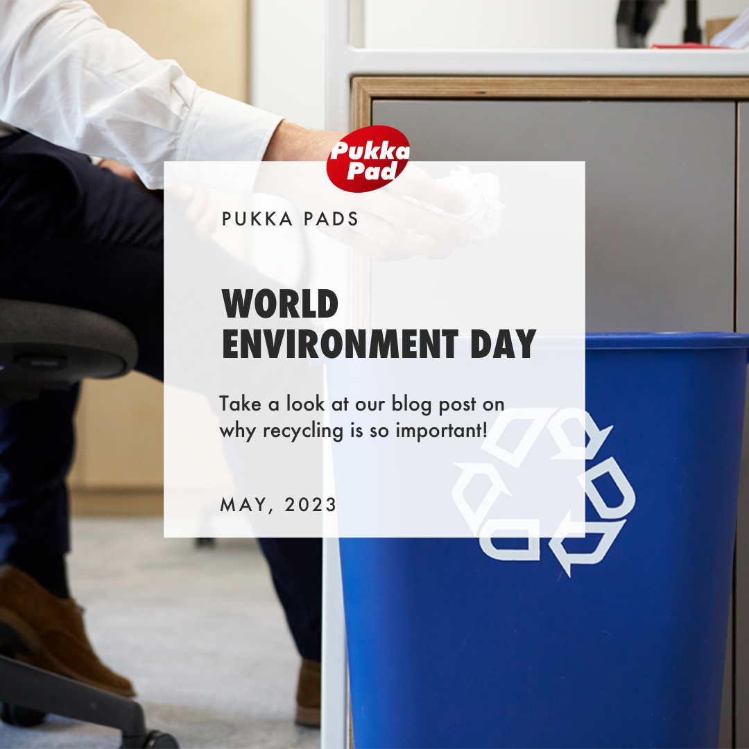 Exploring the World of Recycling with Pukka Pads for World Environment Day!