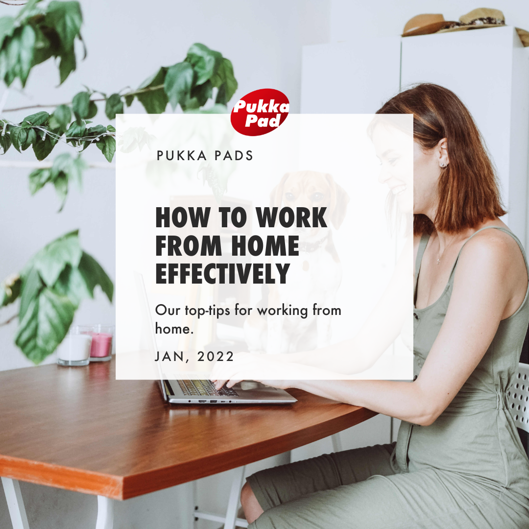 How To Work From Home Effectively With Pukka Pads